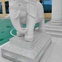 铜仁 白麻花岗岩动物异形石雕-大象