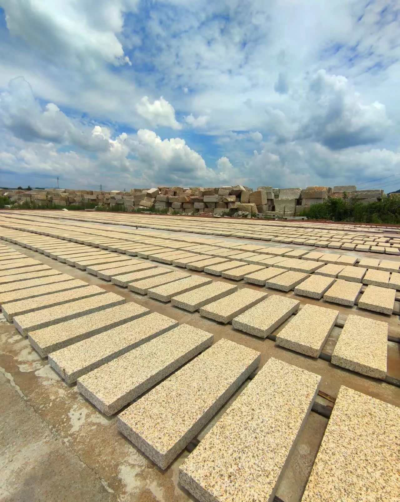 铜仁 黄金麻花岗岩荔枝面地铺石防护中